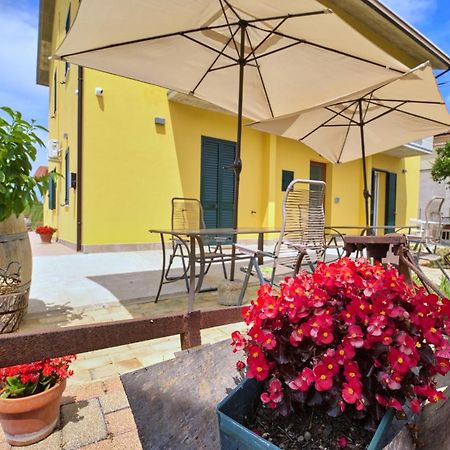 La Casa Del Vino - B&B Tollo Екстериор снимка