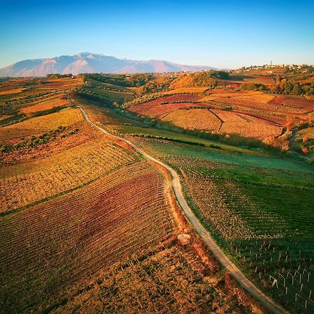 La Casa Del Vino - B&B Tollo Екстериор снимка