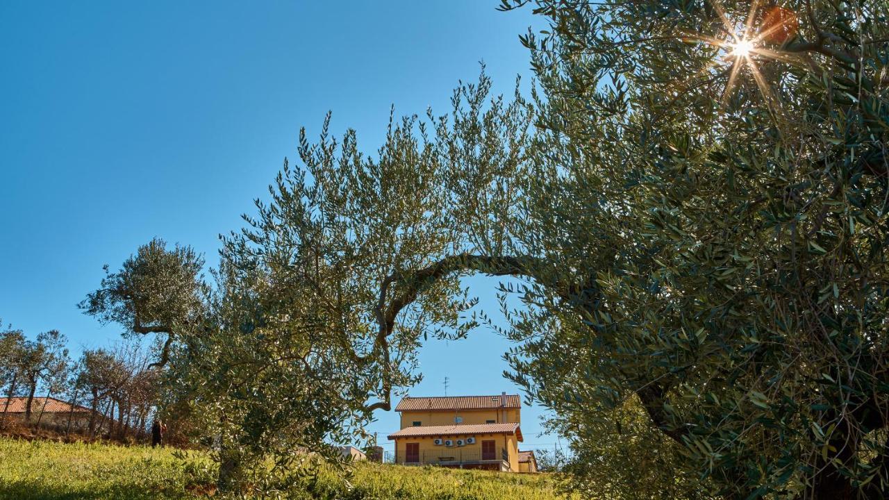 La Casa Del Vino - B&B Tollo Екстериор снимка