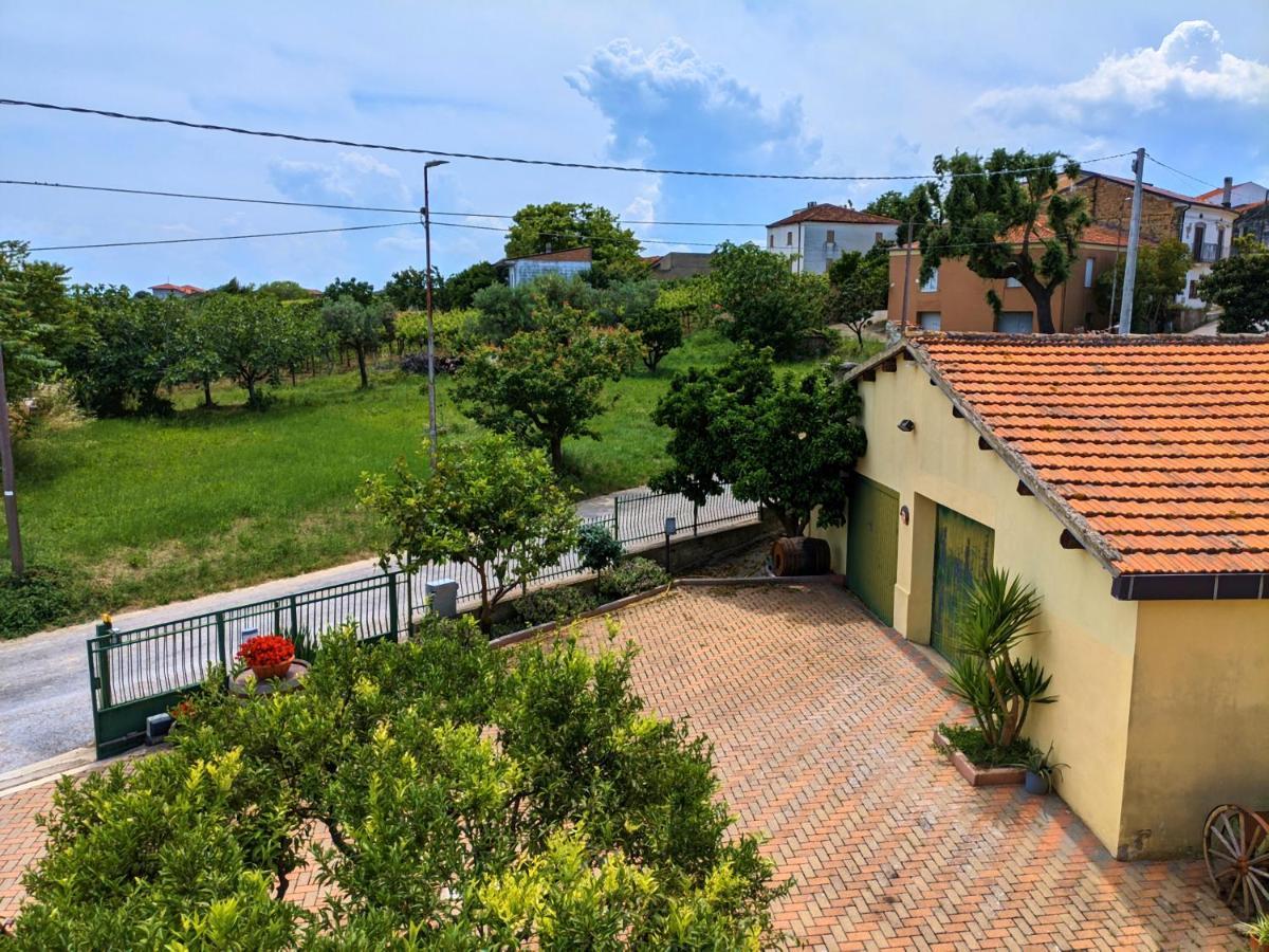 La Casa Del Vino - B&B Tollo Екстериор снимка